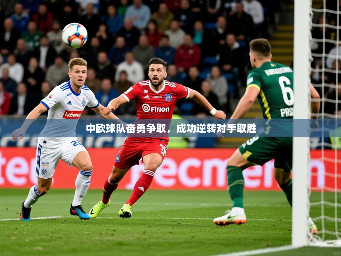 2025开运体育在线入口中欧球队奋勇争取，成功逆转对手取胜