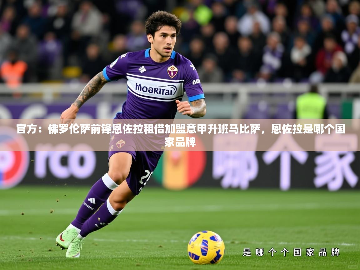 2025开云体育入口手机版官方:佛罗伦萨前锋恩佐拉租借加盟意甲升班马比萨,恩佐拉是哪个国家品牌 第1张