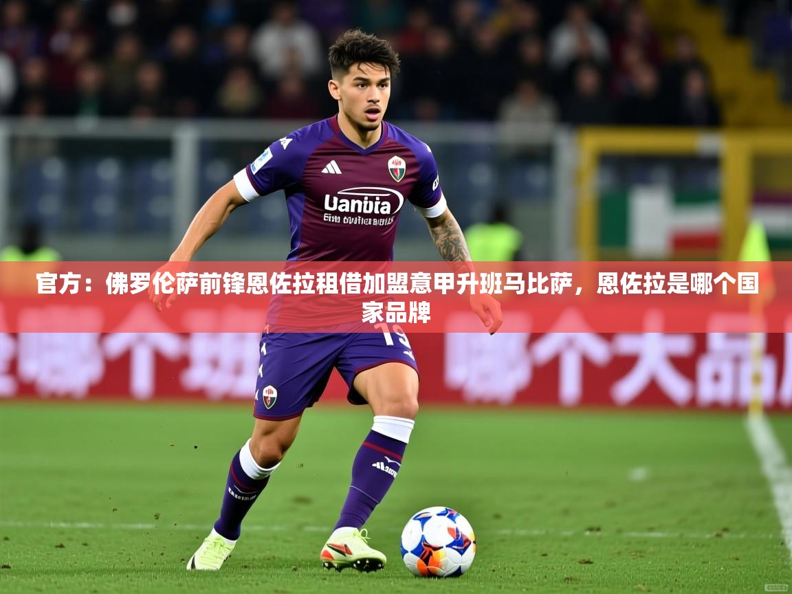 2025开云体育入口手机版官方:佛罗伦萨前锋恩佐拉租借加盟意甲升班马比萨,恩佐拉是哪个国家品牌 第3张