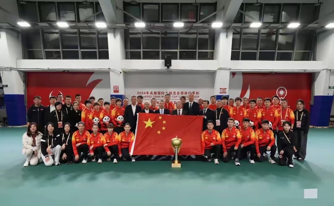 包含亚洲球员在国际比赛中展现集体力量的词条
